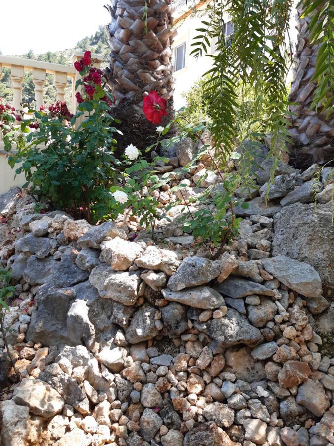 Bed and Breakfast Casa Lennisa Campell Exterior foto