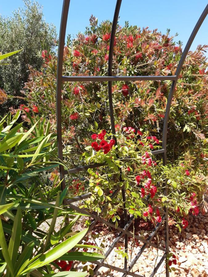 Bed and Breakfast Casa Lennisa Campell Exterior foto